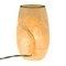 Stony Creek 5.25 In Dove Love Pre-Lit Small Vase Lighted Glass Accent , Bereavement Birds Remembrance